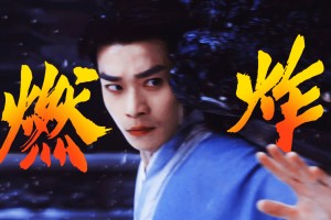 不愧是正儿八经的练家子！这打戏是一看就是真功夫！