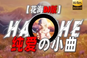【花海DJ版】|“【纯爱の小曲】【伪恋の小曲】【迪亚哥の小曲】”